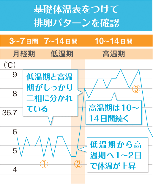 妊活 赤ちゃんが欲しい 子供が欲しい夫婦の基礎知識 ドクターズ ファイル