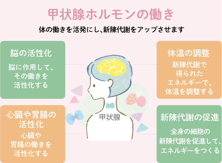 初期症状 特徴や治療方法など甲状腺疾患について正しく知ろう ドクターズ ファイル