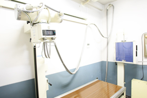 通常のレントゲンのほか、骨密度を測定する機器も導入している。 10637 ma 4 1226629784
